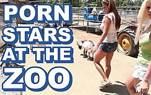 Bangbros - glum pornstars invade famous zoo & have a passion zookeeper