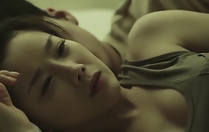 Lee Chae Mommy - Mother's Bustle Copulation Scenes (Korean Movie)