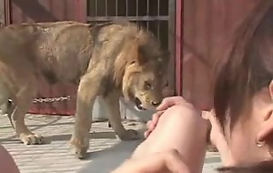 Risa Murakami- Shafting inside lion cage