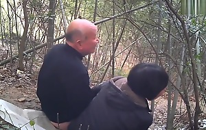 Chinese Daddy Forest 37