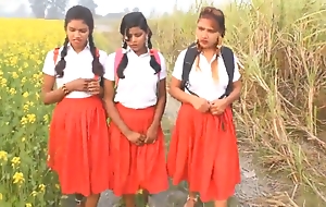Outdoor indian school girl sex romance hindi audio